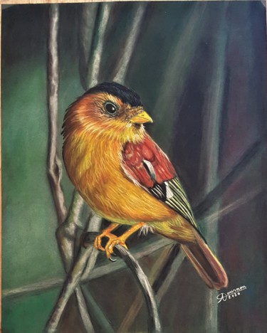 Painting titled "pinson" by Anny Dournon, Original Artwork, Pastel