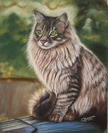 Painting titled "maine coon aux yeux…" by Anny Dournon, Original Artwork, Pastel