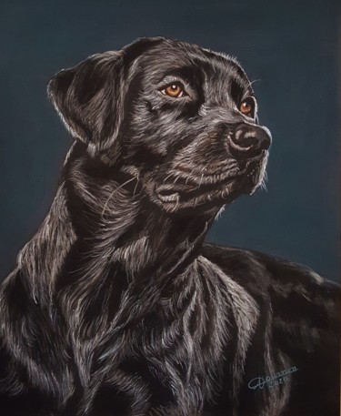 Pittura intitolato "Labrador" da Anny Dournon, Opera d'arte originale, Pastello