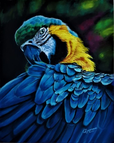 Peinture intitulée "perroquet bleu" par Anny Dournon, Œuvre d'art originale, Pastel