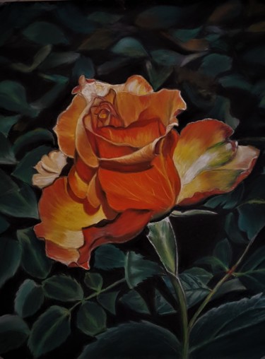 Pittura intitolato "Rose rustique" da Anny Dournon, Opera d'arte originale, Pastello