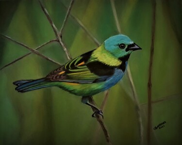 Painting titled "oiseau Brésilien" by Anny Dournon, Original Artwork, Pastel