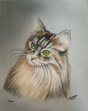 Peinture intitulée "Maine coon" par Anny Dournon, Œuvre d'art originale, Pastel