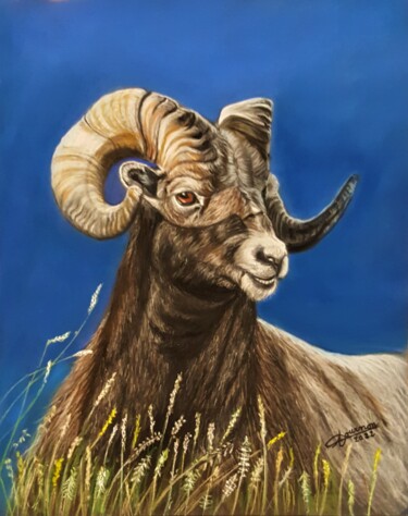 Schilderij getiteld "Mouflon" door Anny Dournon, Origineel Kunstwerk, Pastel
