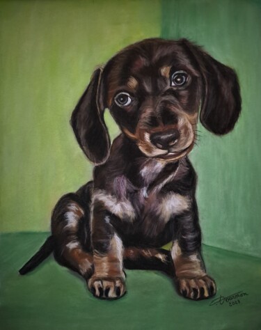 Painting titled "chiot teckel" by Anny Dournon, Original Artwork, Pastel