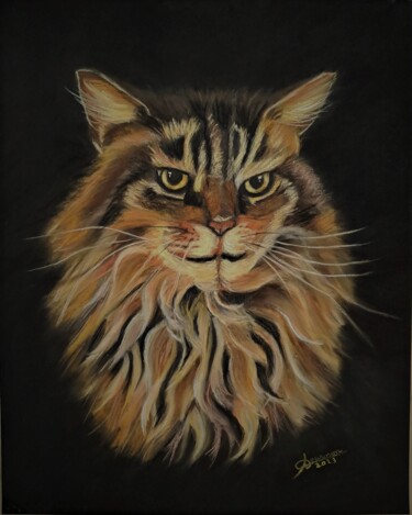 Schilderij getiteld "chat Maine Coon" door Anny Dournon, Origineel Kunstwerk, Pastel