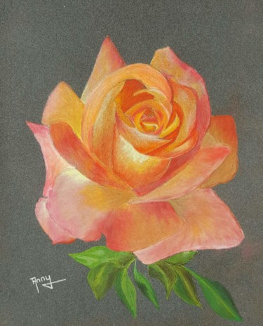 Painting titled "La rose" by Anny Burtscher-Beaudoin, Original Artwork, Pastel