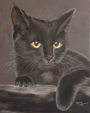 Painting titled "Chaton noir" by Anny Burtscher-Beaudoin, Original Artwork, Pastel