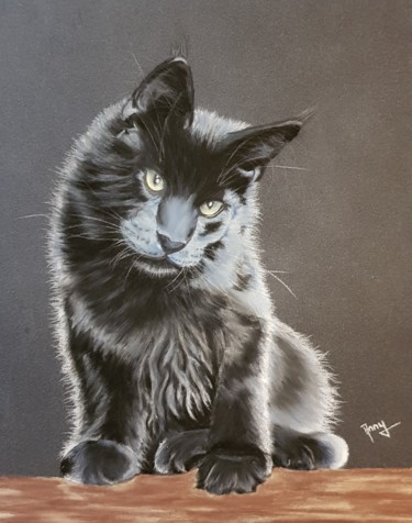 Malarstwo zatytułowany „Chaton Maine Coon” autorstwa Anny Burtscher-Beaudoin, Oryginalna praca, Pastel