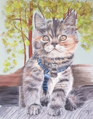 Peinture intitulée "Chaton prêt pour la…" par Anny Burtscher-Beaudoin, Œuvre d'art originale, Pastel