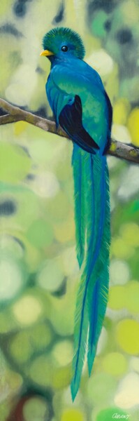Peinture intitulée "Le quetzal I" par Anong Lopes, Œuvre d'art originale, Huile Monté sur Châssis en bois