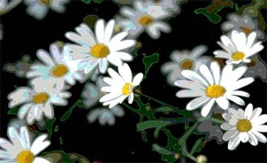 Digital Arts titled "daisies" by Pascale Anouk, Original Artwork