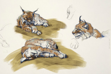 Dessin intitulée "lynx 1 2 3" par Anouk Tank, Œuvre d'art originale, Peinture numérique