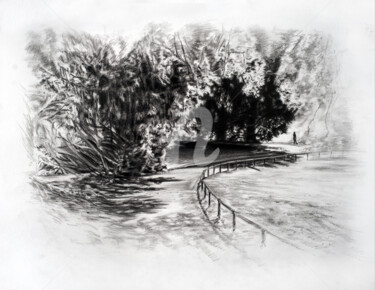 Dessin intitulée "Promenade au Parc J…" par Anthony Oliver, Œuvre d'art originale, Graphite