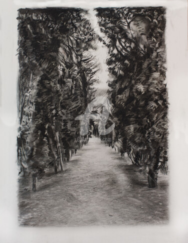 Dessin intitulée "The Path" par Anthony Oliver, Œuvre d'art originale, Autre