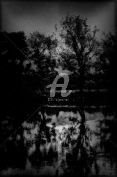 Photography titled "dark-trees-rain-on-…" by Anthony Oliver, Original Artwork