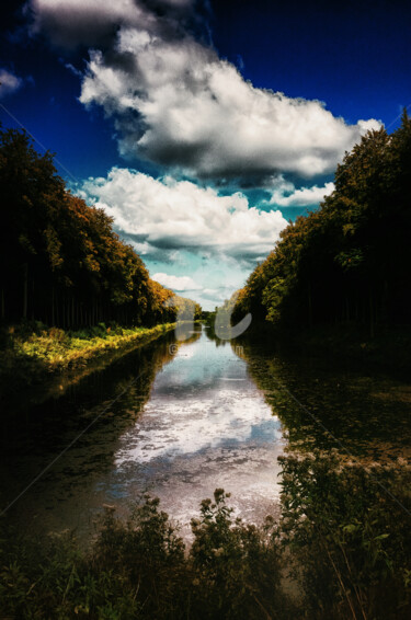 Photography titled "au parc  de Tervuren" by Anthony Oliver, Original Artwork