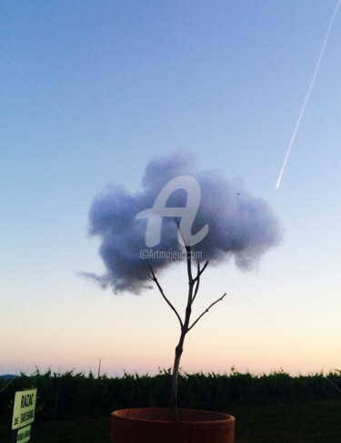 摄影 标题为“Arbre nuage #6” 由Abacchetta, 原创艺术品, 数码摄影
