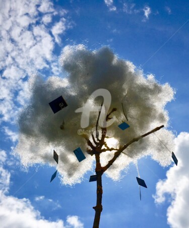 Photography titled "Arbre nuage #05" by Abacchetta, Original Artwork, Digital Photography