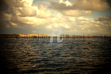 Photographie intitulée "Bassin 1" par Abacchetta, Œuvre d'art originale, Photographie numérique