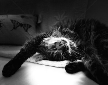 Photography titled "Sleep well" by Abacchetta, Original Artwork, Digital Photography