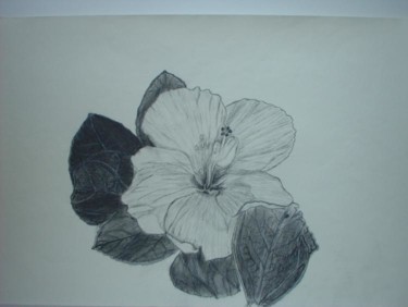 Drawing titled "Hibiscus Flower" by Anthony Yearwood, Original Artwork
