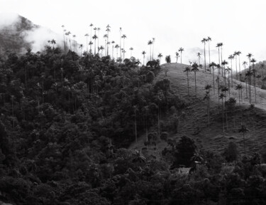 Photography titled "COCORA VALLEY - COL…" by Antoine Barthelemy, Original Artwork, Digital Photography