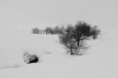 Photographie intitulée "AMONG THE SNOW" par Antoine Barthelemy, Œuvre d'art originale, Photographie numérique
