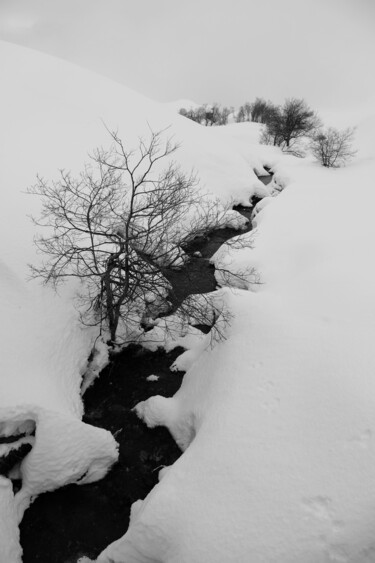 Photographie intitulée "FOLLOW THE STREAM" par Antoine Barthelemy, Œuvre d'art originale, Photographie numérique