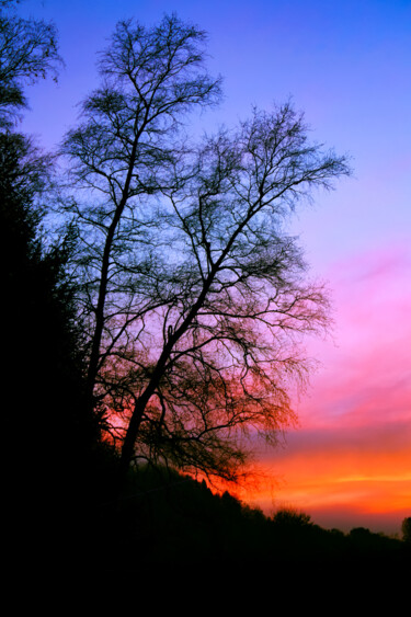 Фотография под названием ""Sunset" dans les V…" - Antoine Heid, Подлинное произведение искусства, Цифровая фотография