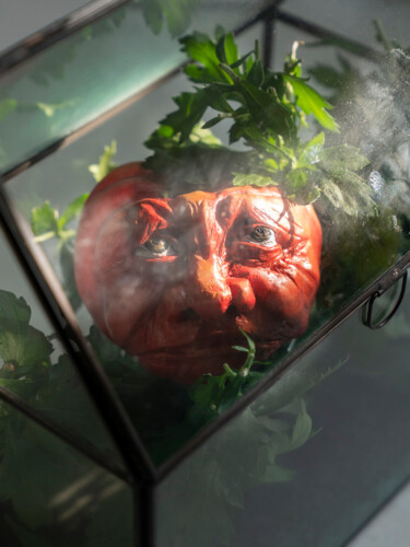 Photographie intitulée "Tomate sous serre d…" par Antoine Hémono, Œuvre d'art originale, Photographie numérique Monté sur Al…