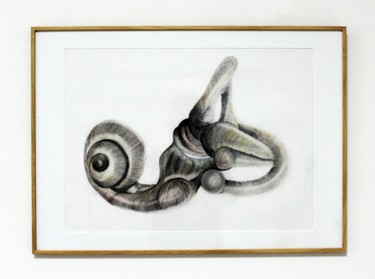 Dessin intitulée "Auris interna" par Antoine Charbonnier, Œuvre d'art originale, Crayon