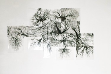 Photographie intitulée "Les vertus du silen…" par Antoine Charbonnier, Œuvre d'art originale, Photographie numérique