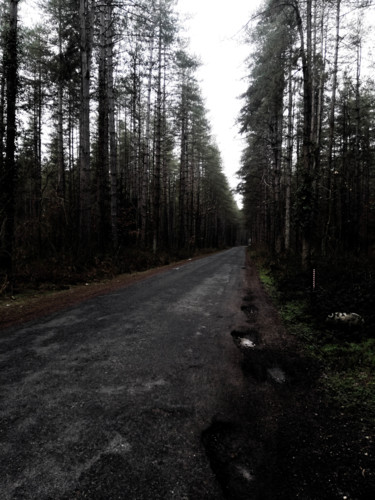 Photography titled "route foret" by Antoine Marelle, Original Artwork, Manipulated Photography