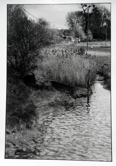 Roseau Photographie intitulée "Roseau" par Antoine Marelle, Œuvre d'art originale, Photographie argentique