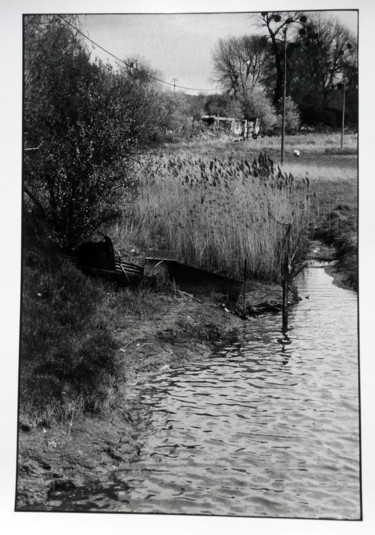 Photographie intitulée "Roseau" par Antoine Marelle, Œuvre d'art originale, Photographie argentique