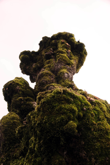 Photography titled "arbre 10" by Antoine Marelle, Original Artwork, Digital Photography