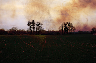 Фотография под названием "paysage" - Antoine Marelle, Подлинное произведение искусства, Цифровая фотография