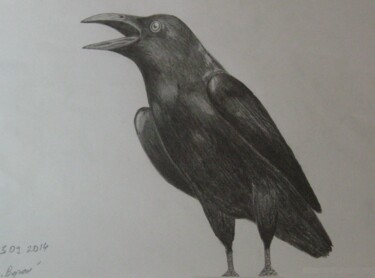 Картина под названием "Raven" - Anton, Подлинное произведение искусства, Другой