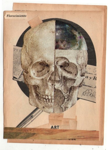 Collages titled "Florecimiento  skull" by Madame Butterfly, Original Artwork