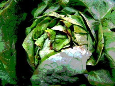 Fotografia intitolato "Vert tendre" da Antonella Iurilli Duhamel, Opera d'arte originale