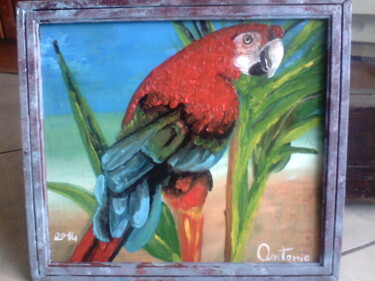 Pittura intitolato "il-pappagallo-viven…" da Antonio Cariola, Opera d'arte originale