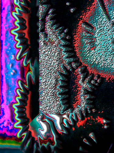 Digitale Kunst getiteld "fungos da natureza" door Antonio Guimaraes, Origineel Kunstwerk, 2D Digital Work