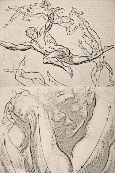 Desenho intitulada "Estudos anatómicos/…" por Antonio Guimaraes, Obras de arte originais, Carvão