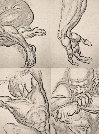 Dibujo titulada "Estudos anatómicos/…" por Antonio Guimaraes, Obra de arte original, Carbón