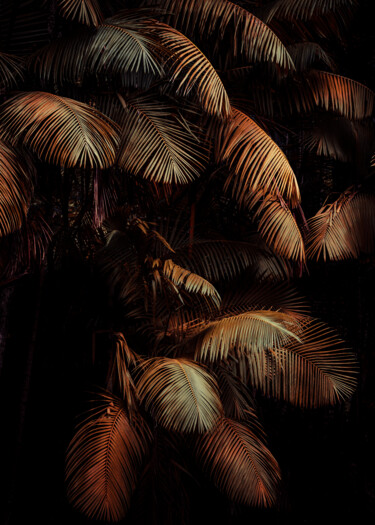 Fotografia intitolato "Palm Tree III" da Antonio Schubert, Opera d'arte originale, Fotografia digitale