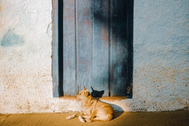 Photographie intitulée "Bahia" par Antonio Schubert, Œuvre d'art originale, Photographie numérique