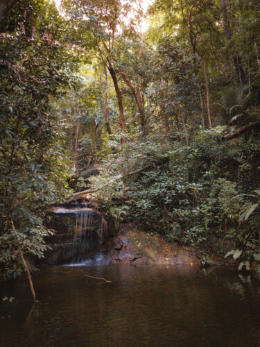 Fotografia intitulada "Parque Lage III" por Antonio Schubert, Obras de arte originais, Fotografia digital