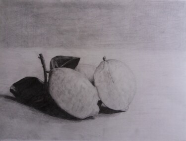 Desenho intitulada "Zwei Zitronen" por Antonio Visciano, Obras de arte originais, Lápis