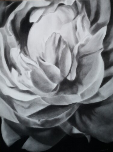 Tekening getiteld "Peony" door Anyck Alvarez Kerloch, Origineel Kunstwerk, Houtskool